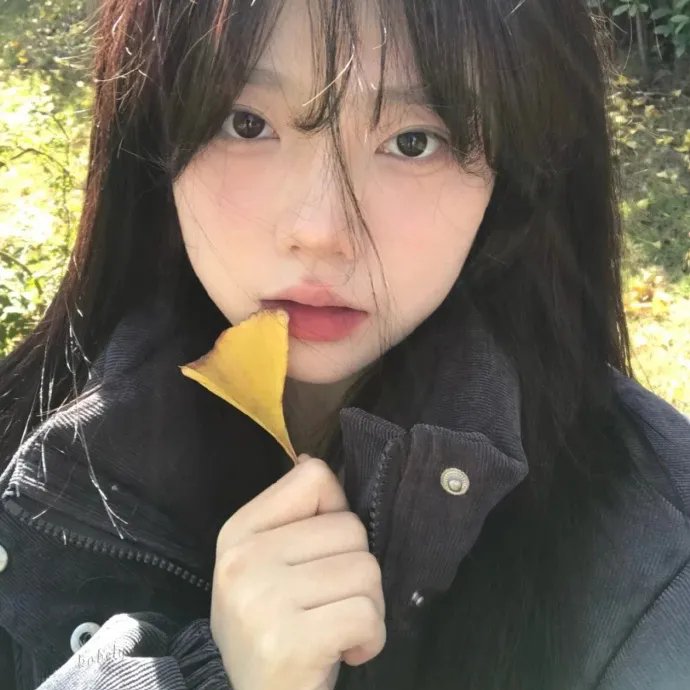 安多第二季